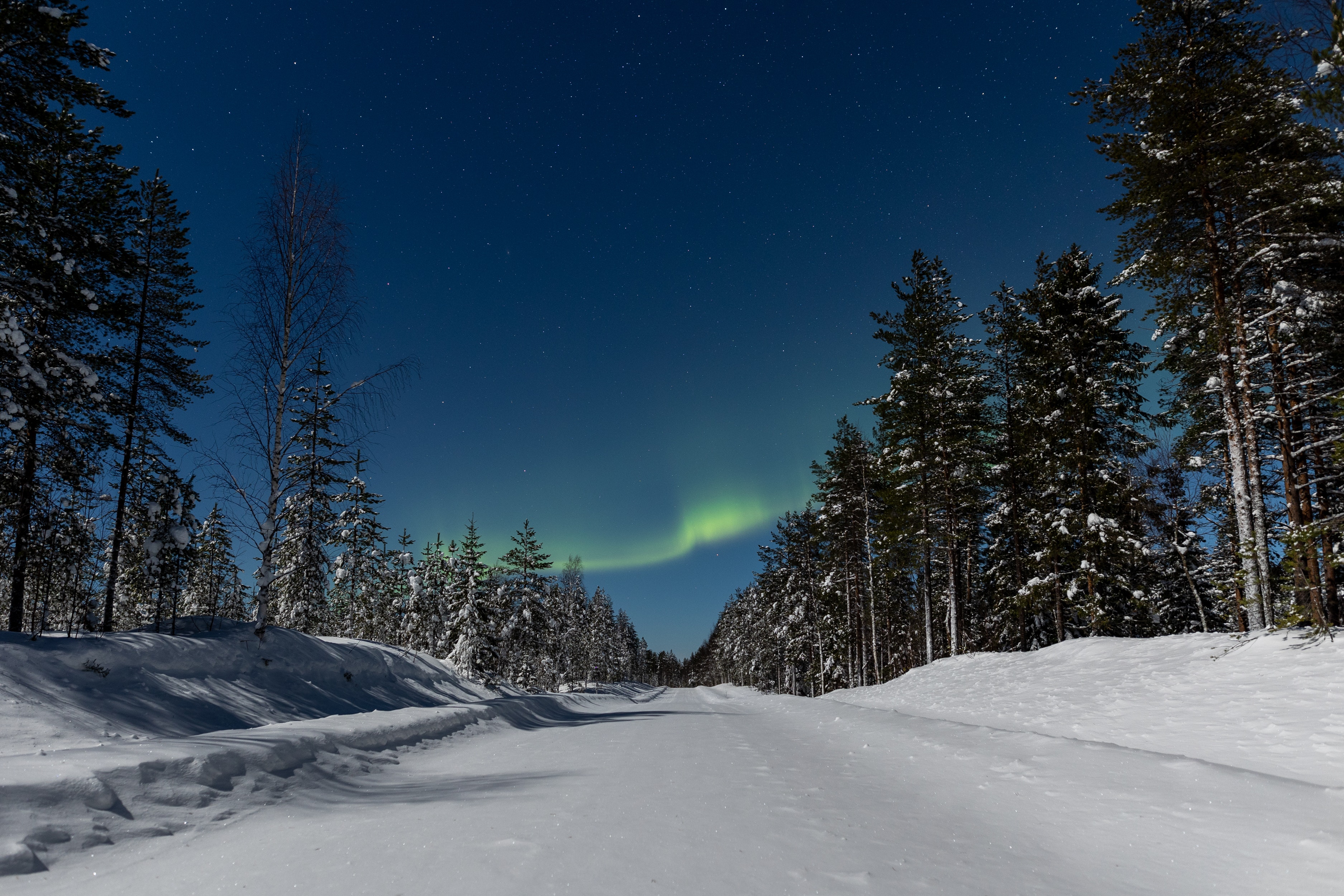Magical northern lights above the snow covered forest in Finland